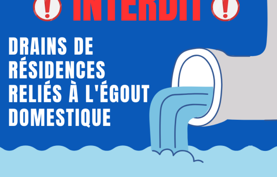 Interdiction d’avoir vos drains de résidence reliés à l’égout domestique